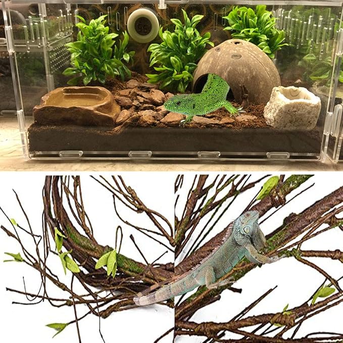 PINVNBY Bearded Dragon Tank Accessories,Lizard Habitat Hammock Reptile Natural Coconut Shell Cave Jungle Climber Bendable Vines Leaves Decor for Gecko Chameleon Snakes Lizards(5 Pcs)