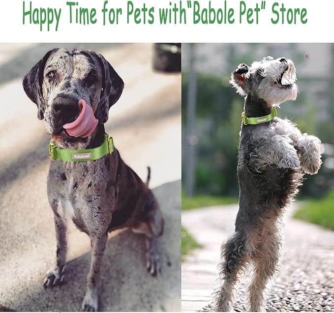 Nylon Dog Collar - Adjustable Green Soft Webbing Dog Collars for Small Medium Large Dogs Boy Girl Puppy Collar with Safety Metal Buckle XS