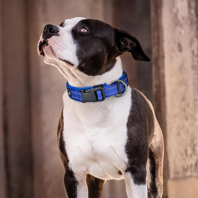 EXCELLENT ELITE SPANKER Reflective Dog Collar Classic Soft Padded Breathable Nylon Adjustable Pet Collar with Quick Release Buckle for Boy Girl Male Female Small Medium Large Dogs Training(Black-XL)