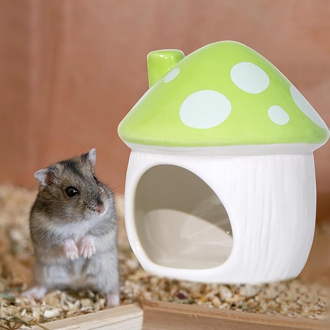 Ceramic Mushroom Hamster Hideout - Hamsters Habitat for Hamsters Chinchillas Hedgehogs and Gerbils Mouse Small Pet Guinea Pigs House Hamster Bed (Green)