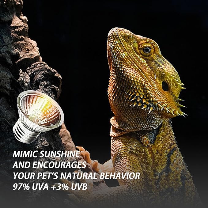 75W UVA UVB Bulbs, 6-Pack Light Turtle Heat Lamp for Reptiles and Amphibian Tanks, Terrariums and Cages, Fit E26 Heat Reptile Lamp,Works with Various Lamp Fixtures