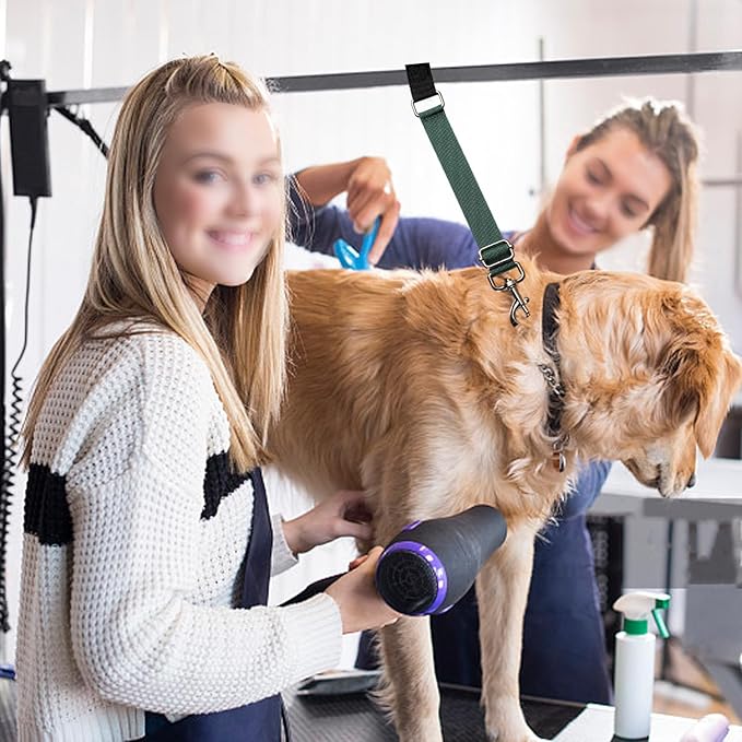 Pet Dog Grooming Table Arm Accessories Dog Grooming Loops for Table Arm Extender Adjustable Extension Loop Bathing Restraint Leash for Small & Medium Dogs (Blue & Green)