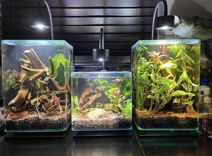 Lominie LED Aquarium Light, Planted Tank Light 4 Channels Remote Control 6500K Aquarium LED Lamp for Freshwater Fish Tank Refugium with Gooseneck (A20 Freshwater)