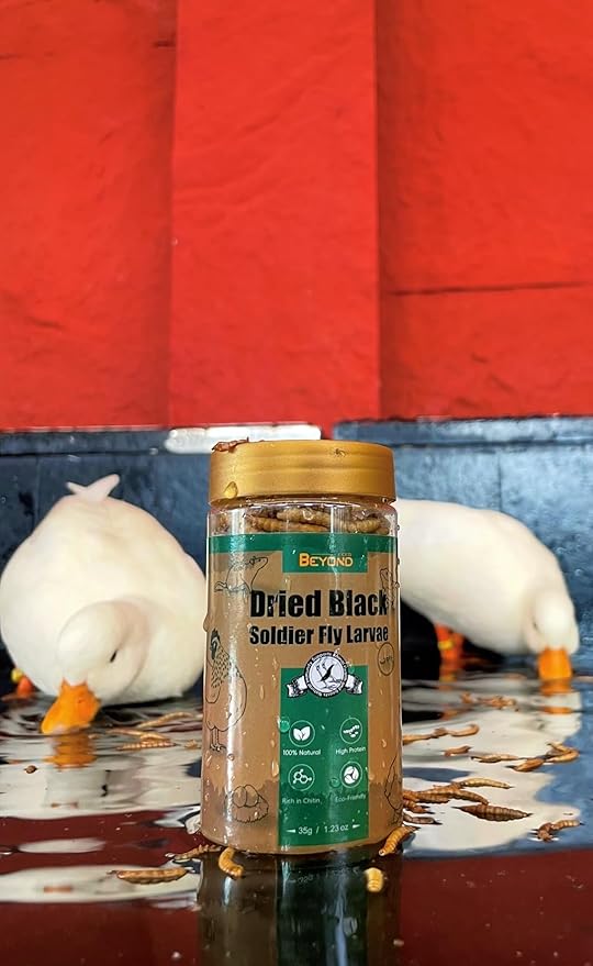 BeyondFeed™ Dried Black Soldier Fly Larvae - Nutrient-Rich, Sustainable Feed for Chickens, Ducks, Birds, Reptiles, Fish, Hamster, Turtles and More (1 Bottle (35g/ 1.23oz))