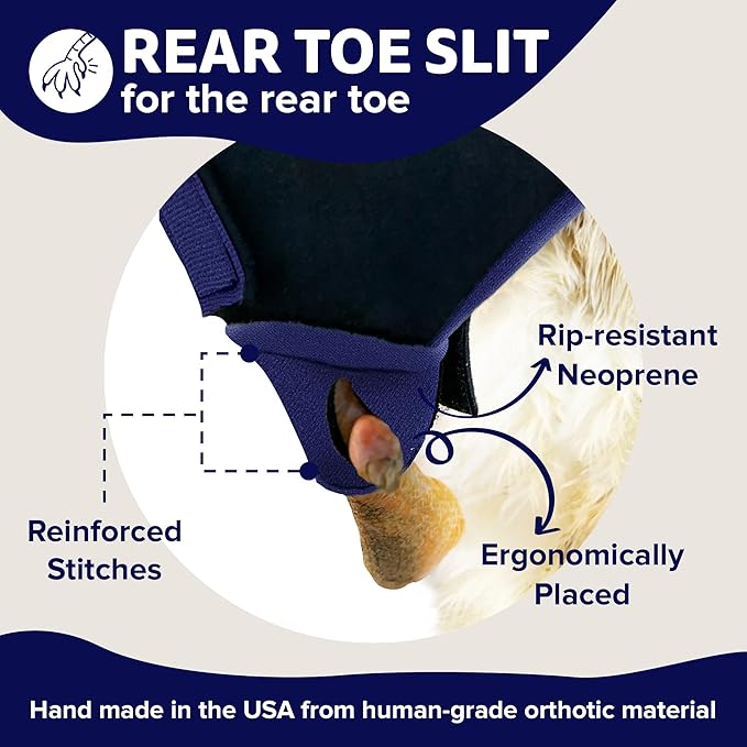 Duck Shoes for Injured Feet – Protective Neoprene Footwear for Ducks, Protective Shoes for Birds with Injured feet, Bumblefoot Relief - Small, 2.5’’ Max. Inside Width - Navy
