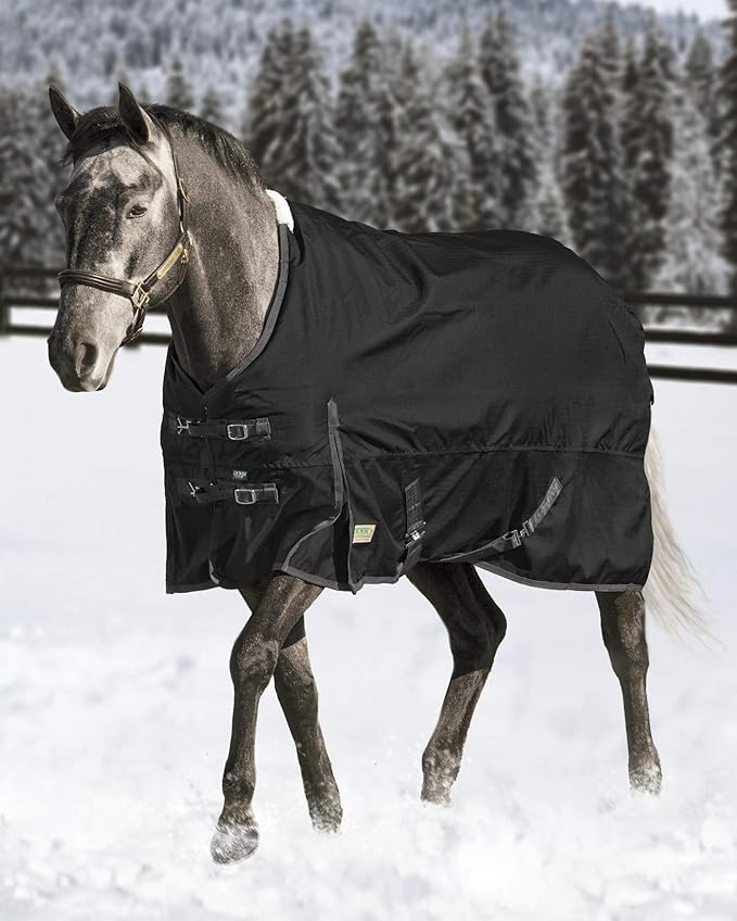 Dover Saddlery Rider’s International Supreme Medium Weight Turnout Blanket