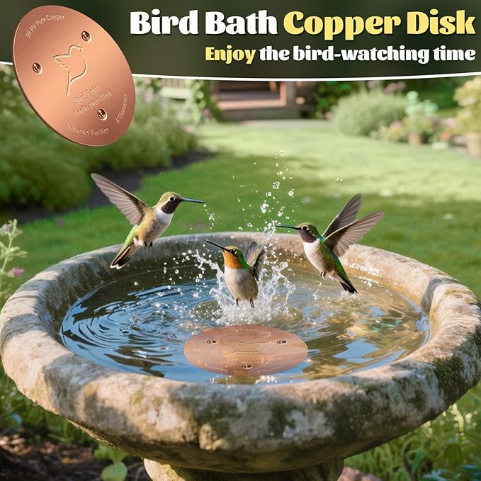 NNG 2 Pack Bird Bath Copper Disk,1mm Thick Reinforced 99.9% Pure Copper Bird Bath Purification Disk with Triple-Point Support,Physical Safe Water Cleaner for Outdoor Birdbaths Bowls,All-Season Use