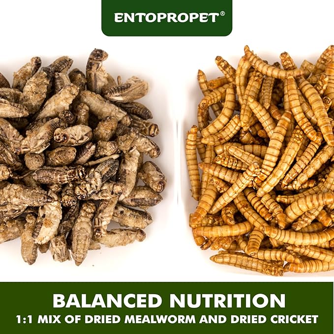 Dried Mealworms and Dried Crickets - Higher in Calcium and Richer in Protein-A Premium Medley Treat Food for Bearded Dragons,Turtles, Birds & Tropical Fish, 5oz