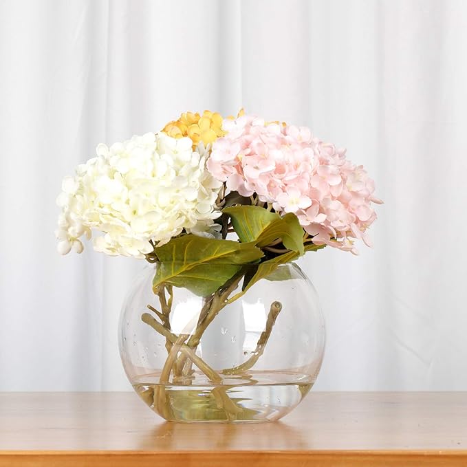 WGV Bowl Glass Vase, Diameter 10", Height 8", Open Width 6", (Multiple Sizes Choices) Clear Bubble Planter Terrarium Fish Bowl for Wedding Event Home Decor, 1 Piece (VBW0010)