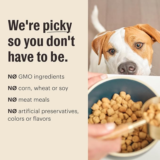 The Honest Kitchen Whole Food Clusters Grain Free Beef Dry Dog Food, 5 lb Bag