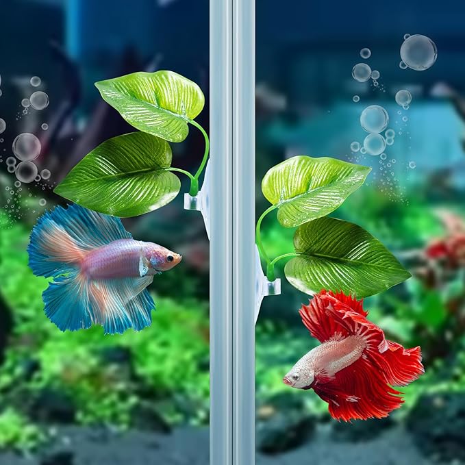 CousDUoBe 1 Pack Betta Fish Leaf Pad Improves Betta's Health by Simulating The Natural Habitat - Natural, Organic, Comfortable Rest Area for Fish Aquarium Ornaments