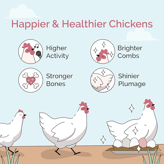Mile Four Chicken Grit for Layer & Grower Chickens Age 8-20+ Weeks - 100% Natural Mineral Chicken Grit Quartzite, Poultry Grit, USA Mined, 50 lbs