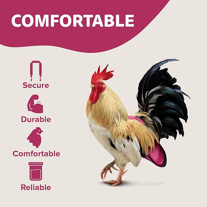 Hen Holster Wrap-Around Bird Diaper & Harness for Hens, Roosters, Ducks, Geese - with Removable Vinyl Liner, Adjustable Fit for Outdoor Adventures & Indoor Use - Easy to wear - Large, Pink