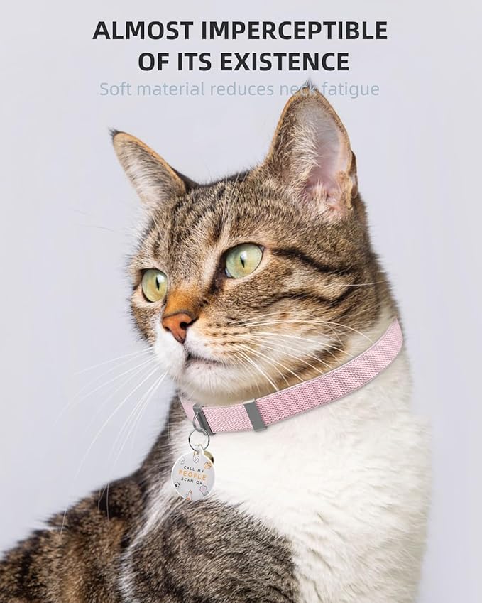Cat Collar with Bell, Stretch Elastic Quick Release, Modifiable Pet Online Profile Page, Multiple Emergency Contact, Non Breakaway Lightweight Kitten Collar for Girl Cats, Pet Supplies, Gifts, Pink