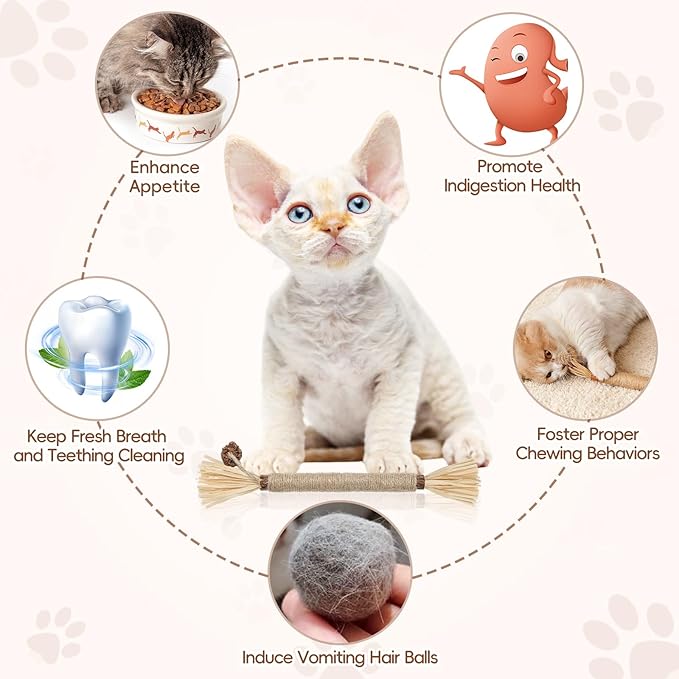 5 Pack Silvervine Sticks Cat Toys, Natural Chew Kitten Teething Toys for Cleaning, Matatabi Catnip Treat Toys, Catmint Silver Vine Sticks for Bored Indoor Kitty