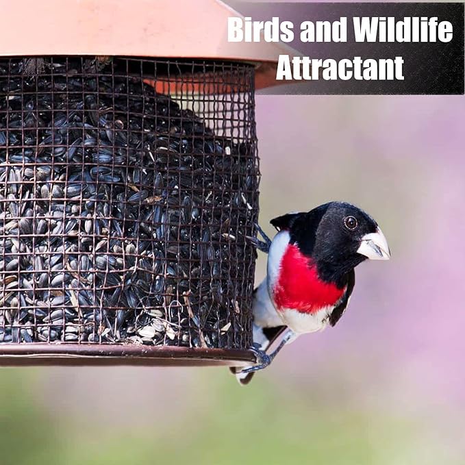 Old Potters Wildlife Black Oil Sunflower Seeds for Birds and Wildlife, Non-GMO & USA Grown on Small Farms (12 lbs)