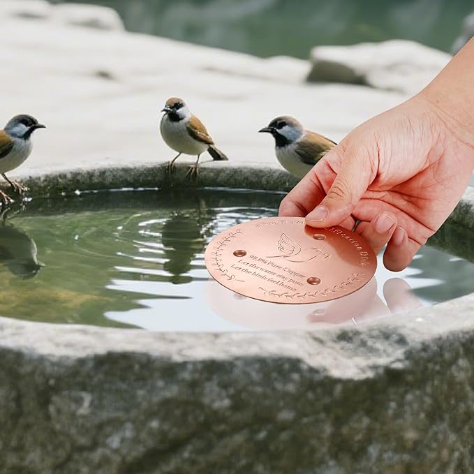 Bird Bath Copper Disk, Sturdy 1mm 99.9% Pure Copper Disk, Triple-Point Support Ensures Clean Water Year-Round, Fits Most Outdoor Birdbath Bowls (1)