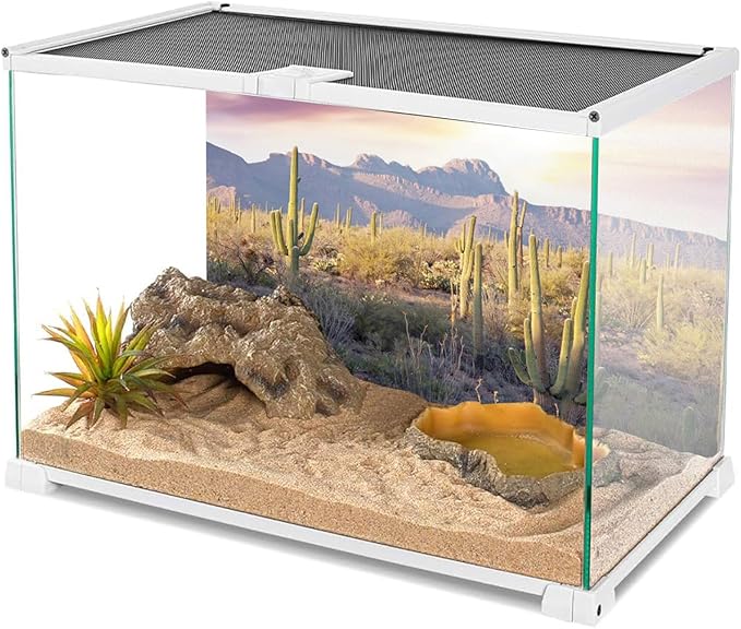 AWERT Reptile Habitat Background Blue Sky Oasis Mountain Cactus Sun and Desert Terrarium Background 60x24 inches