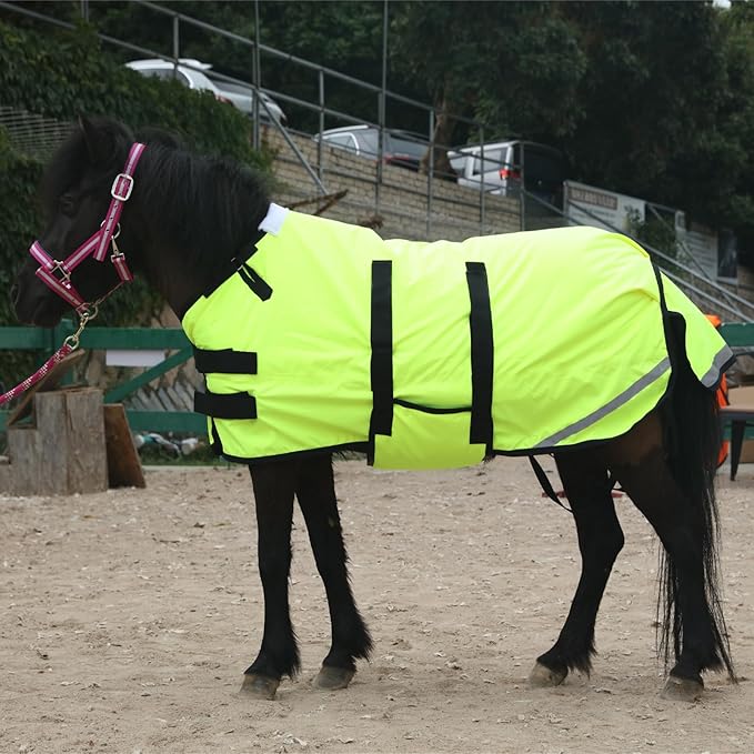 Foal/Mini Horse Size 30"-48" Waterproof & Breathable 300 Denier Winter Turnout Blanket with 150g Polyfill Green Medium