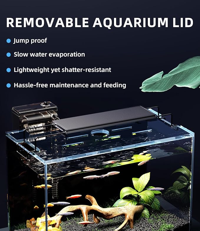 5 Gallon Fish Tank Aquarium Kit with Filter, Heater, LED Light with Timer, Siphon Vacuum Cleaner, Lid, Self-Cleaning Glass Rimless Betta Tank