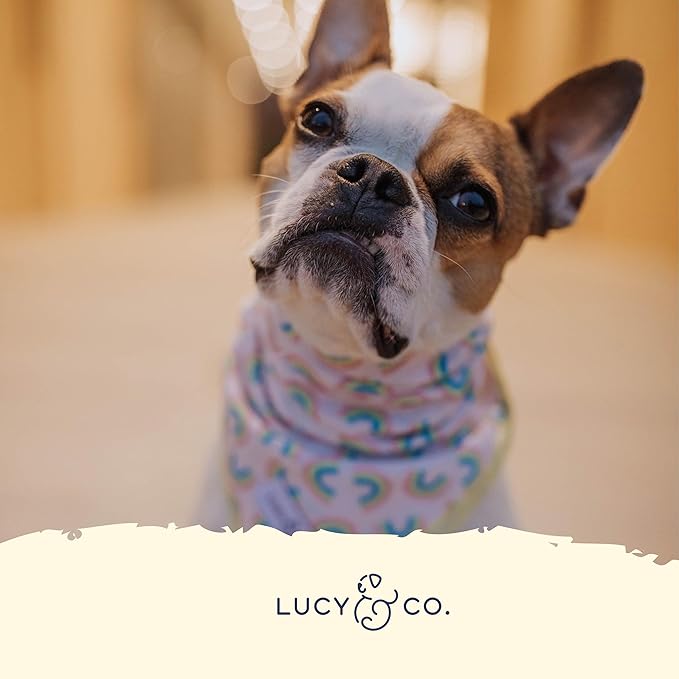 Lucy & Co. Making Rainbows, Cute Reversible Dog Harness Walking Halter - Best Designer Pet Harnesses for XS - XL Dogs - Padded Adjustable Vest for Easy Walking (Large)