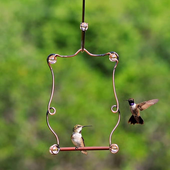 Perky-Pet Copper Beaded Hummingbird Swing - Rust Resistant Finish - Humming Bird Swing for Outdoors - Attract Perching Birds - 90, Copper, Rose Beads