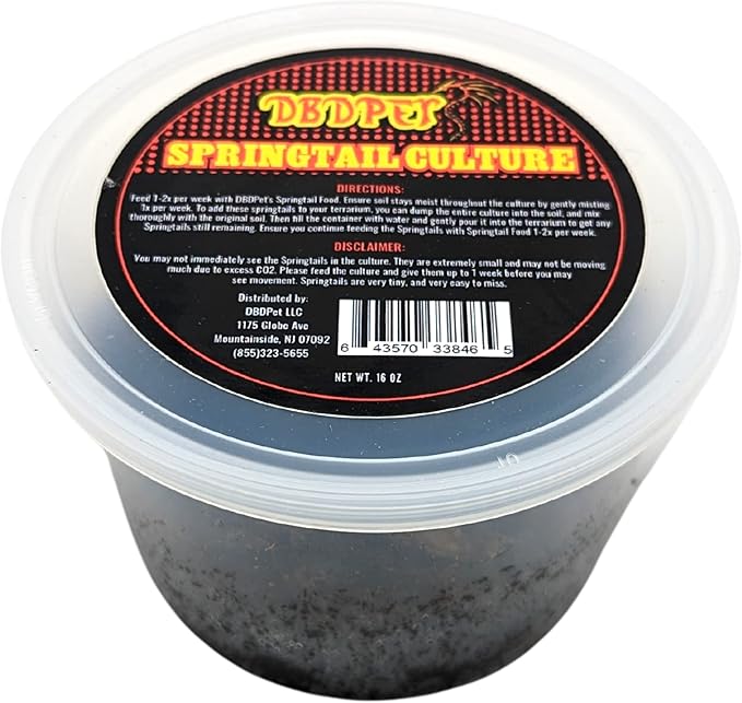 DBDPet Live Springtail Cultures - Great for Terrariums, Vivariums, and More - Microfauna for Bioactive Reptile & Amphibian Cages (Value Pack (2 Cultures & Food))