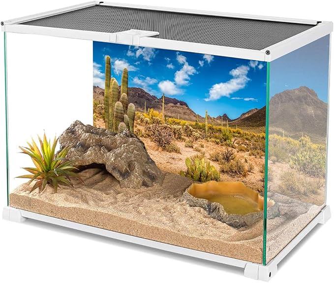 AWERT 48x24 inches Reptile Habitat Background Blue Sky Oasis Cactus Desert Terrarium Background Vinyl