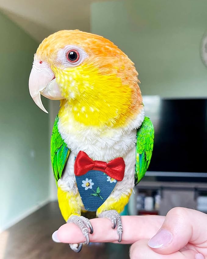 UKJENT Bird Diaper Protective Parrot Nappy - 2 Pack, Reusable Flight Suit with Waterproof Inner Layer, Washable Cute Urine Wet Suit for Cockatiel Monk Parakeet Sun Parakeet Lory(S)