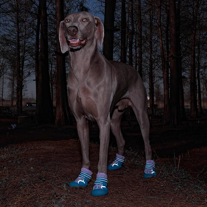 Dog Shoes, Waterproof Dog Boots & Paw Protectors with Anti-Slip Sole, 4pcs/Set Pet Dog Booties, Reflective Dog Shoes for Small Medium Large, Winter Snowy Summer Hot Pavement (Blue, 5# (M))