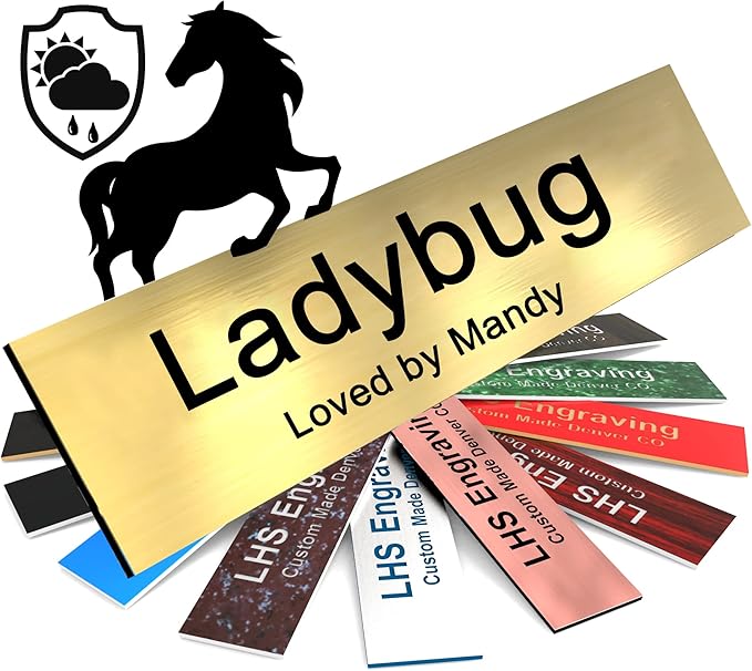 Horse Stall Name Plate, 2x10 Personalized Stall Signs, UV Protected, All Weather Adhesive, Hanging, Mounting or Other, Brushed Brass Plastic Black Letters - Made in USA - M6