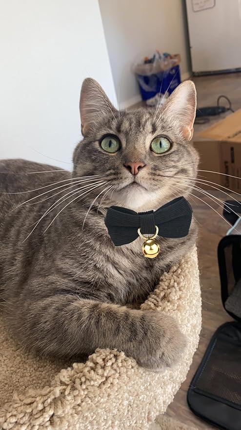 Cotton Breakaway Cat Collar with Bow Tie and Bell, Adjustable Cute Soft Corduroy Kitten Collars for Boy Cats