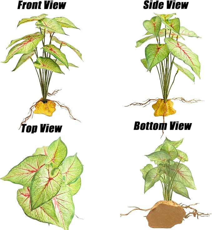 Woyrise Reptile Artificial Plants for Terrarium Decor, Amphibian Habitat Decorations Bearded Dragon Tank Accessories fit Crested Gecko Leopard Lizard Chameleon Ball Python Snake Frog - Fake Caladium