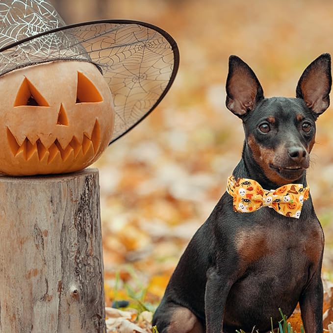 Halloween Dog Collar, Pet Collar Bow Fall Pet Collar Girl Boy Holiday Collar Gift Bow Cute Soft Puppy Collars for X-Small Puppy
