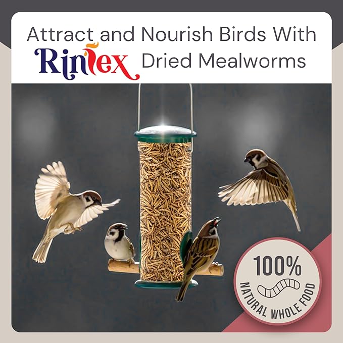 Dried Mealworms 1 lb - Chicken Food for Laying Hens - Bird Seed for Wild Birds - Wild Rabbit Food Outdoor - Duck Treats for Pet Ducks - Turtle Food for Small Turtles - Parrots Food, Snail Food