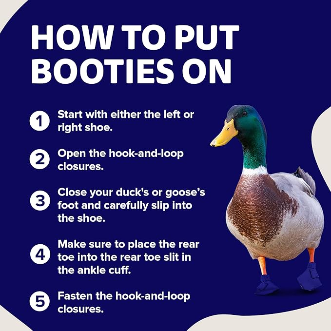 Duck Shoes for Injured Feet – Protective Neoprene Footwear for Ducks, Protective Shoes for Birds with Injured feet, Bumblefoot Relief - Large, 4.5” Max. Inside Width - Royal Blue