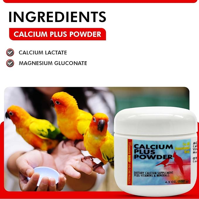 Morning Bird Calcium Plus Powder for Birds 4.5 oz – Calcium Supplement with Vitamin & Protein Powder – Supports Bone Health, Muscle Function & Digestive Balance – Easy-to-Mix Calcium Formula