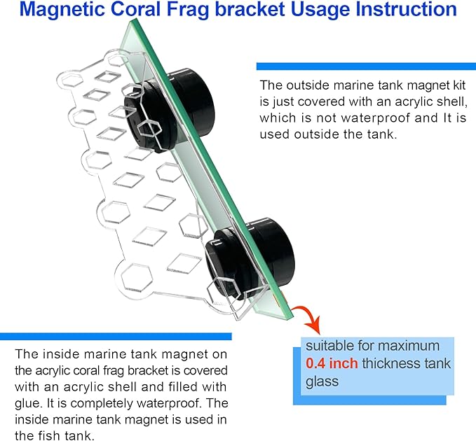 Aquarium Choice Coral Plug Holder Coral frag Rack Magnetic Holder Reef Magnets Holder for frag Racks (Coral Holder with 11 frag Plug)