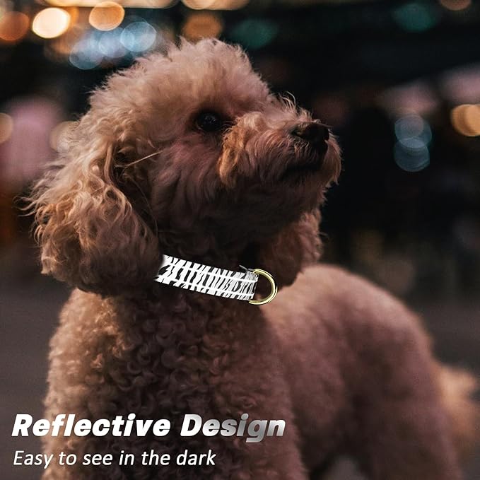 Reflective Dog Collar for Extra Small Dogs Cats, Cute Boho Adjustable Heavy-Duty Nylon Puppy Collar for Boy and Girl Female, Soft Pet Accessories with Quick Release Buckle, Stylish Zebra Print