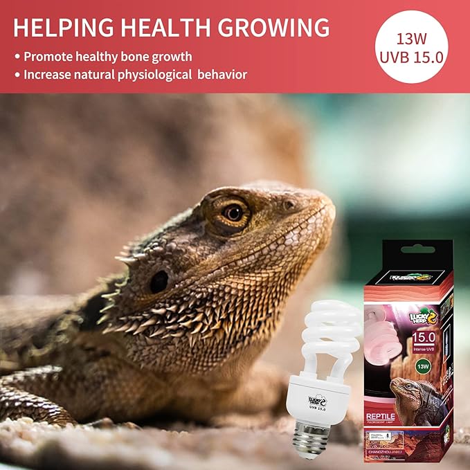 LUCKY HERP 13W UVB 15.0 Intense UVA UVB Compact Flouorescent Lamp Desert Terrarium Light Bulb for Reptile and Amphibian