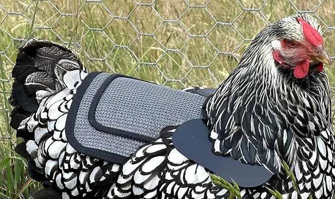 DOWN UNDER OUTDOORS 2 Pack Small Chicken Saddles for Bantams and Young Birds, Includes Shoulder Covers (Sand Mesh)…