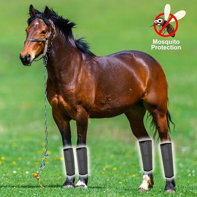 FOXLVDA Horse Fly Boots - Fly Boots for Horses Set of 4, Comfortable Horse Leggings, Mesh Material Design with Metal Support Bars for Reduces Stomping & Leg Fatigue (Dark Gray, Medium)