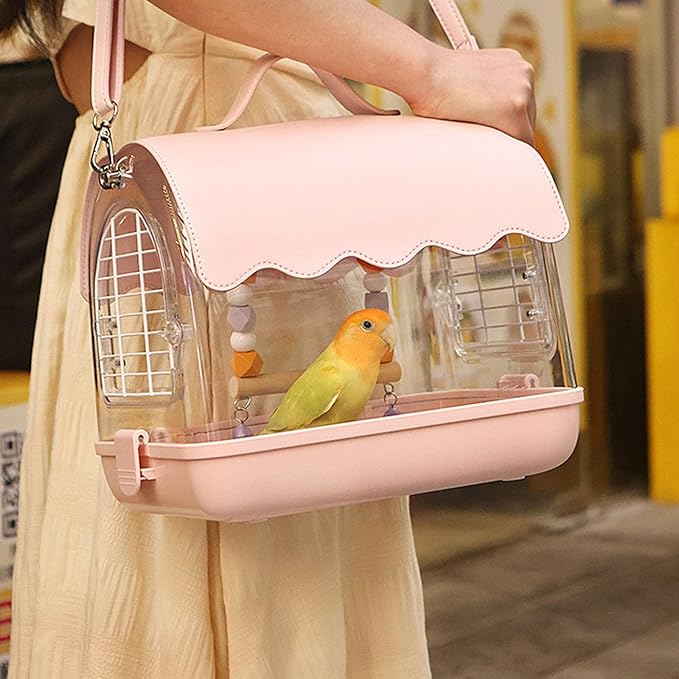 Standing Flight Parakeets Cage Set Large Bird Carriers Panoramic View Bird Cage for Outdoor Use