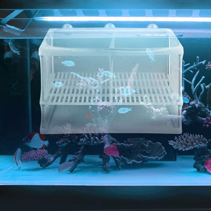 POPETPOP 1pc Portable Fish Hatching Net Water Separation Box for Aquarium Isolation Breeding Tank Separator Easy to Use and Install and Cloth Material