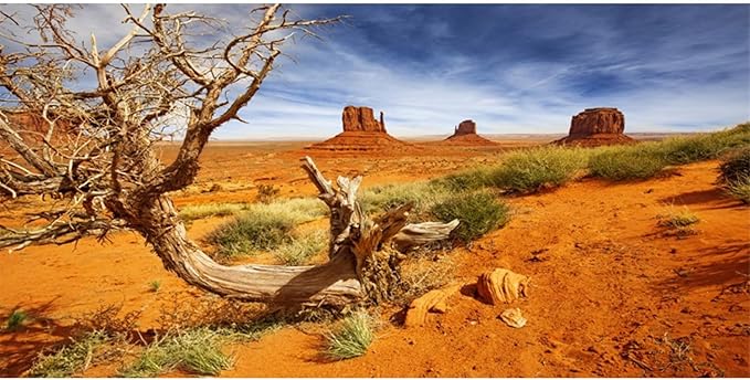 AWERT 36x20 inches Reptile Habitat Background Orange Desert Terrarium Background Durable Polyester Background