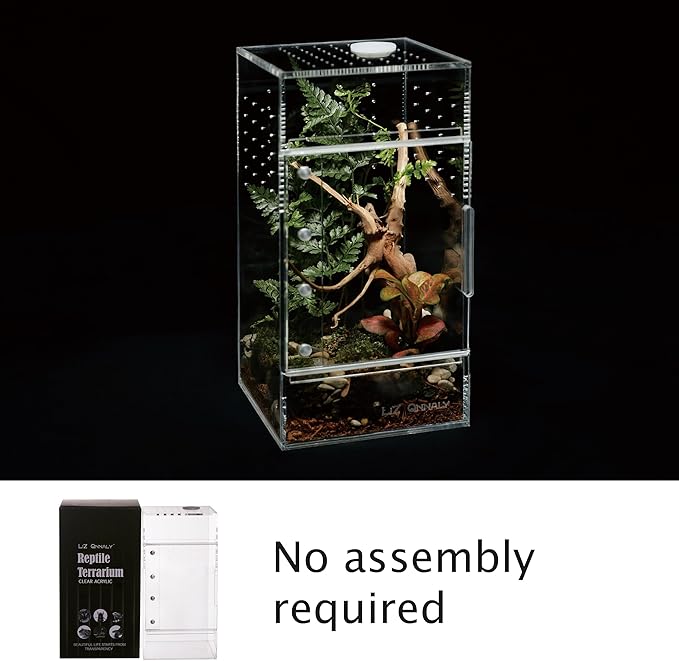 Acrylic Terrarium for Reptiles & Spiders – Small/Medium/Large Leak-Proof Enclosure (Horizontal/Vertical) | Ideal for Tarantulas, Jumping Spiders, Frogs & Geckos(Small Vertical)