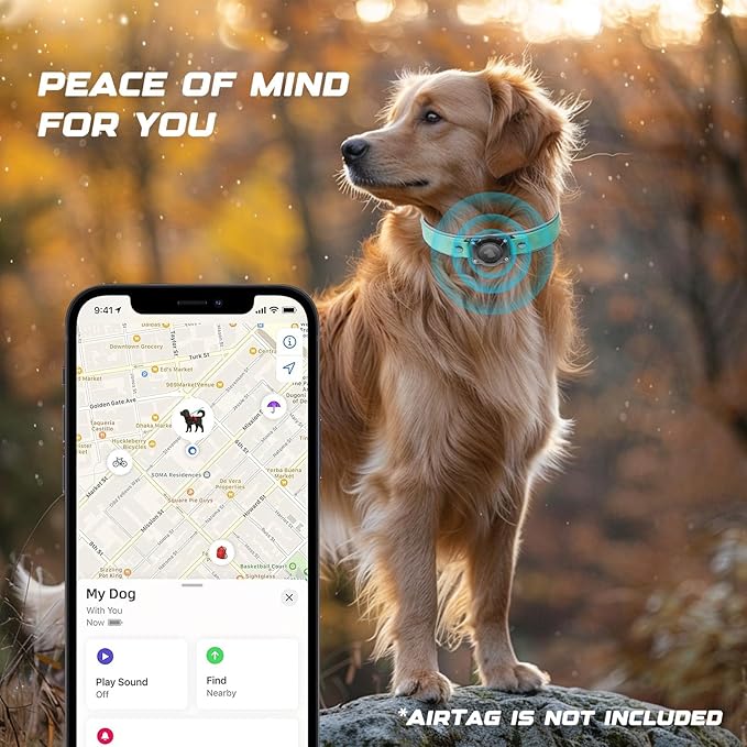 AirTag Dog Collar - Leather Dog Collar with Air Tag Holder | IPX8 Waterproof, Reflective, High - End, Adjustable Soft Padded | Dog GPS Tracker Collars Fit for Medium Large Dogs (Teal, M)