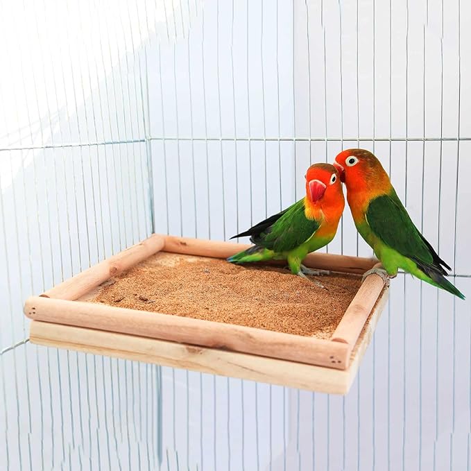 Natural Wooden Parrot Bird Perch Stand, Parakeets Paw Grinding Standing Pole, Cage Accessories for Small Animals Rat Hamster Budgies Lovebirds Cockatiels