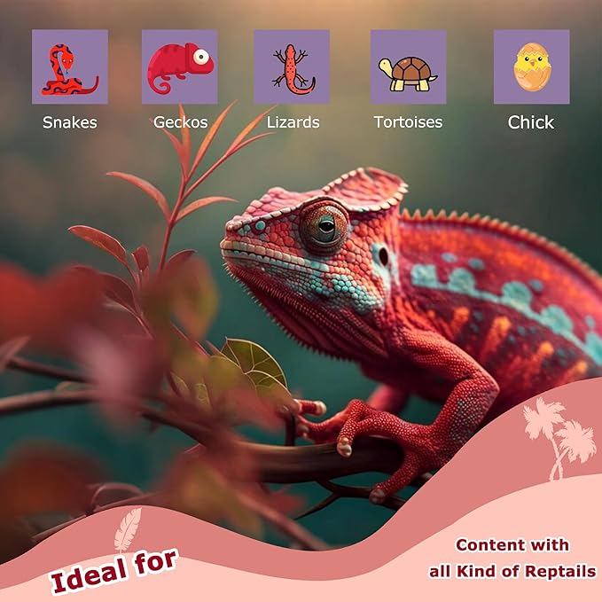 75W Infrared Basking Spot Light Bulbs for Reptiles & Amphibians – Red Heat Lamp for Bearded Dragons, Turtles, Snakes & Chicks, Great for Terrarium Heating & Brooder Warmth | 2 Pack
