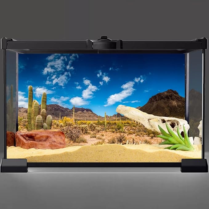 AWERT 36x24 inches Reptile Habitat Background Blue Sky Oasis Cactus Desert Terrarium Background Vinyl